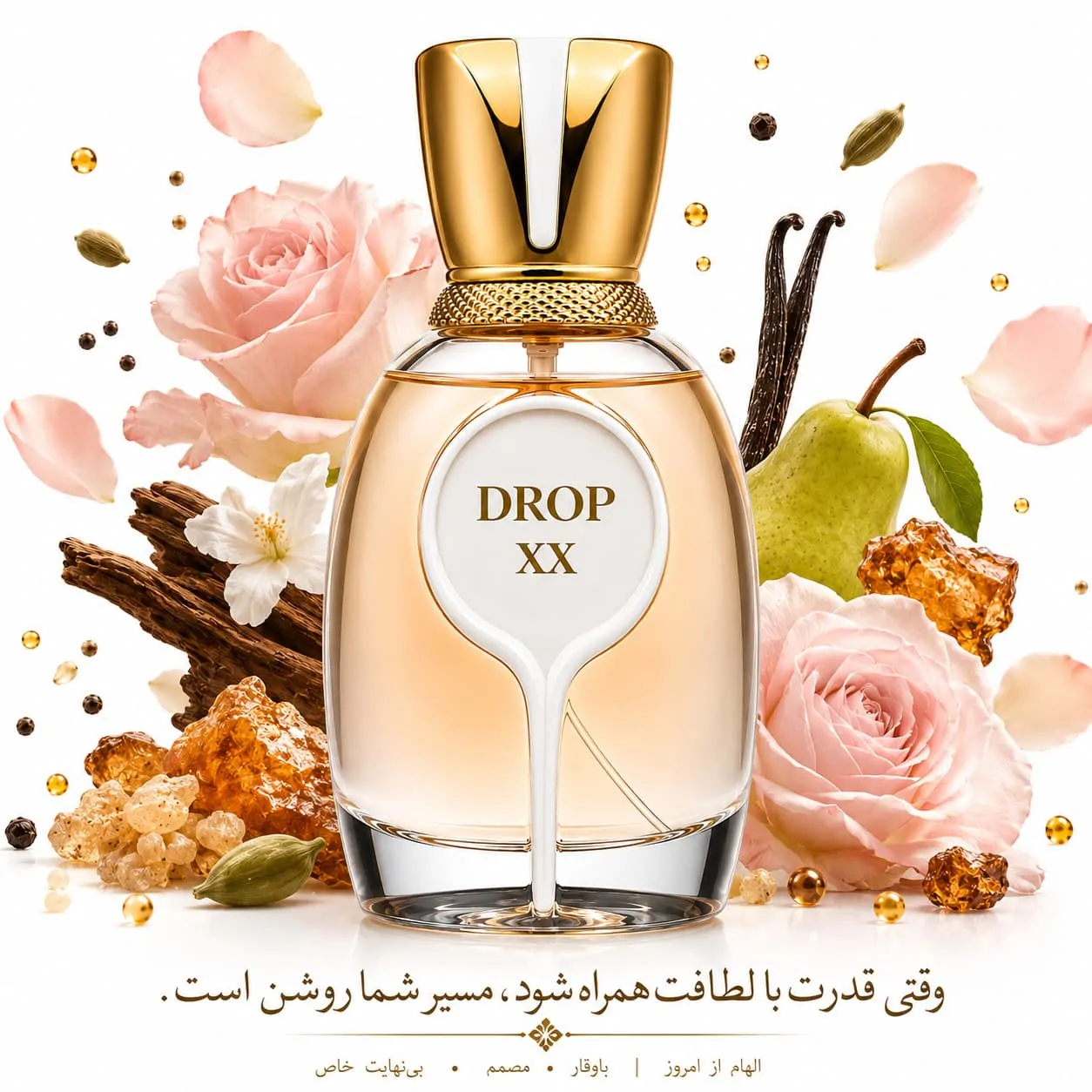 دراپ ایکس دراپ ایکس