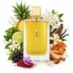 آرماف کلاب دنویت پرسیوس IV (ژان پل گوتیه دیواین) - Image 2